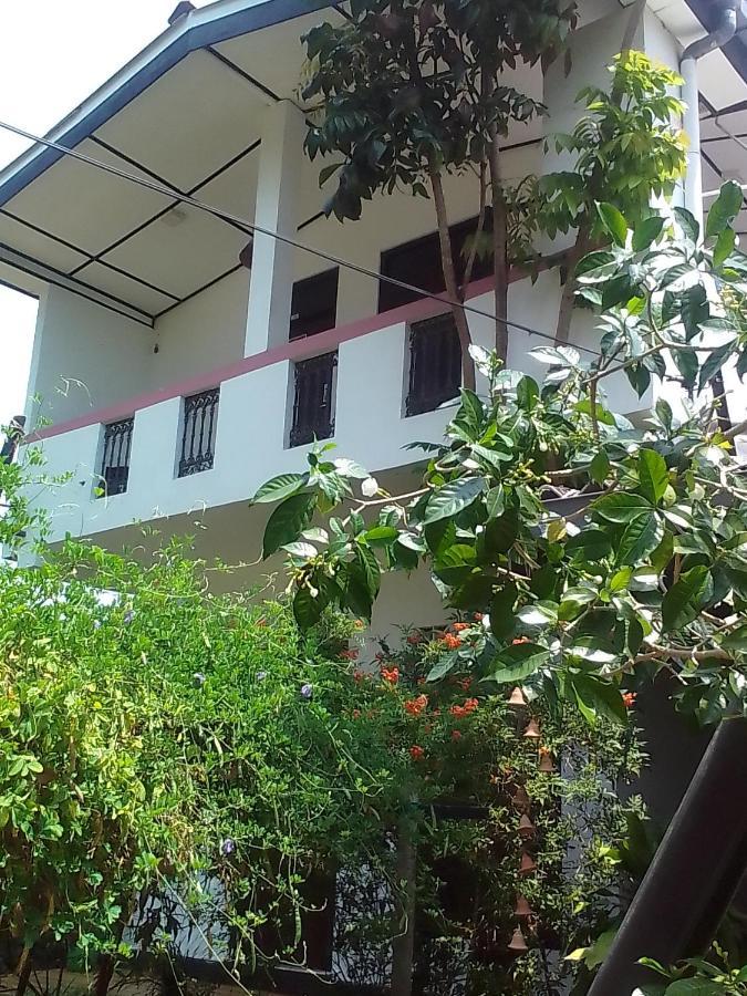 Green Garden Guest מיריסה מראה חיצוני תמונה