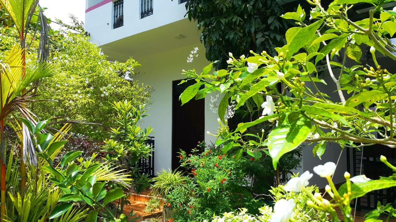 Green Garden Guest מיריסה מראה חיצוני תמונה
