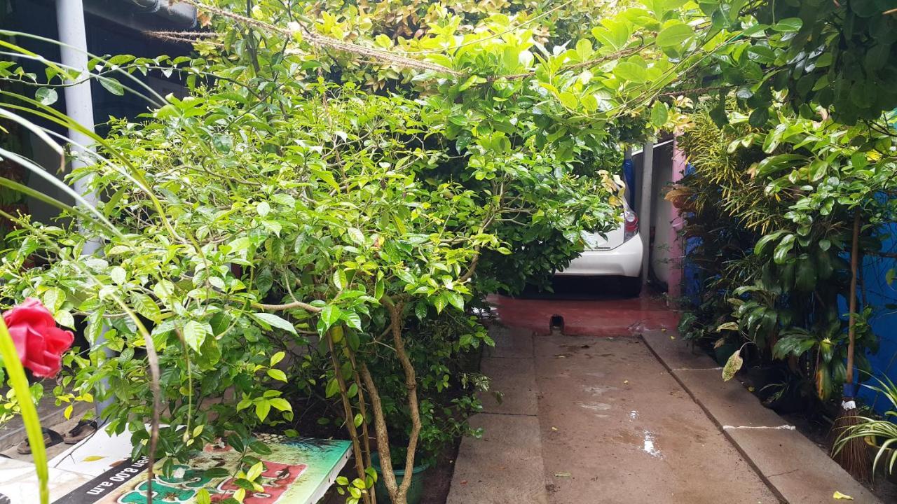 Green Garden Guest מיריסה מראה חיצוני תמונה