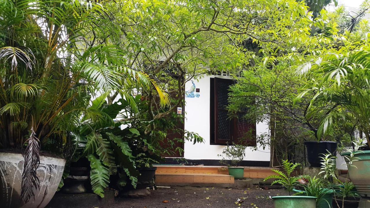 Green Garden Guest מיריסה מראה חיצוני תמונה